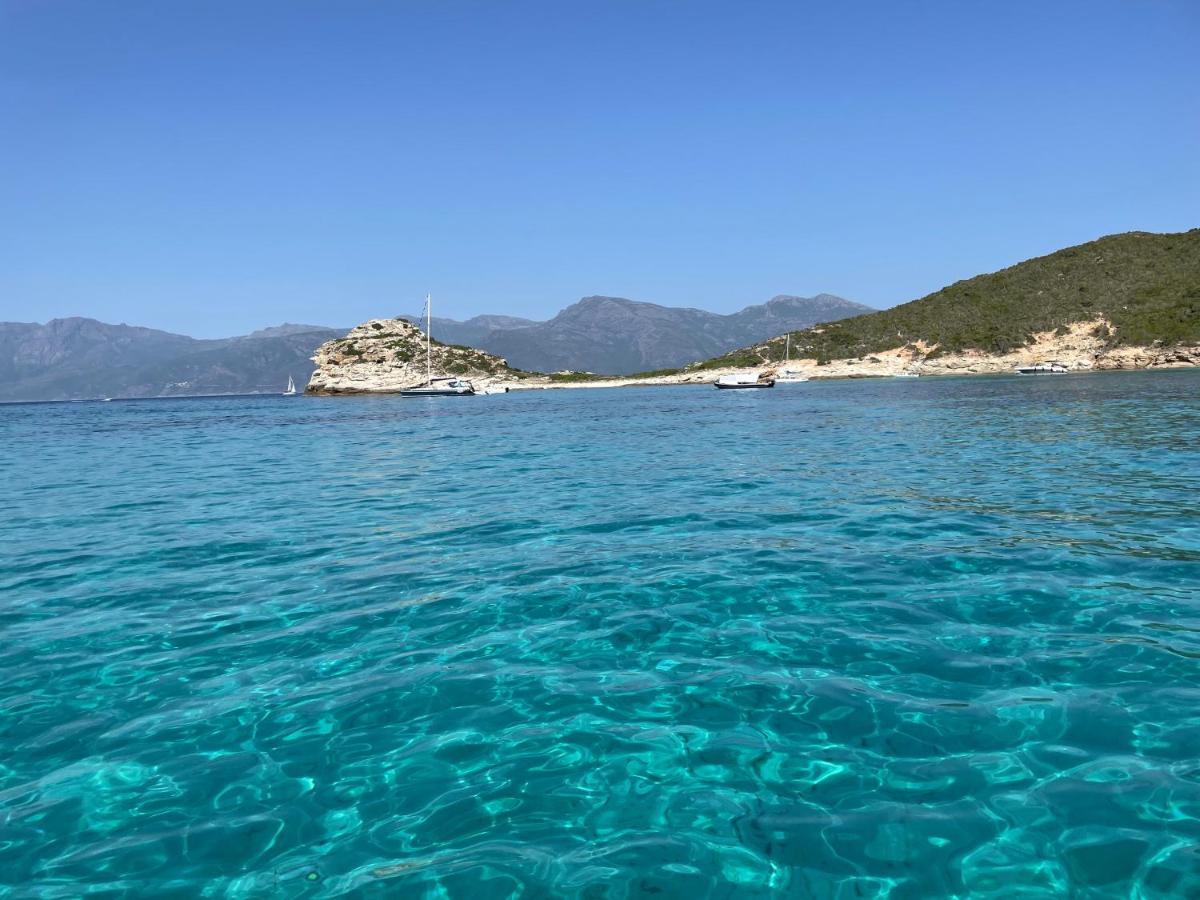 F3 Gd Standing 87 M2 Extraordinaire Vue Mer Pano Bastia  Bagian luar foto